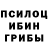 Псилоцибиновые грибы GOLDEN TEACHER Safje 7