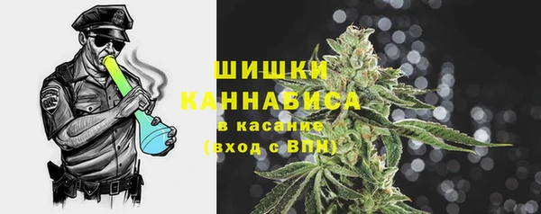 стаф Мегион