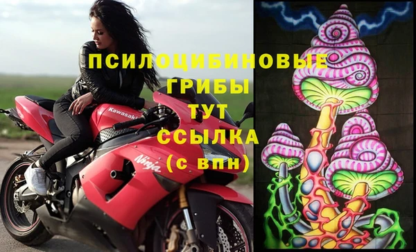 синтетический гашиш Медвежьегорск