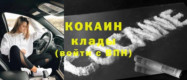 стаф Мегион