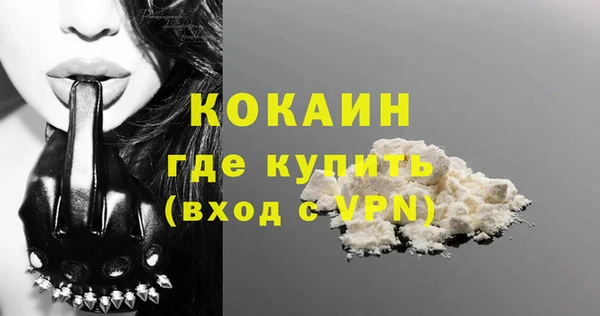 стаф Мегион