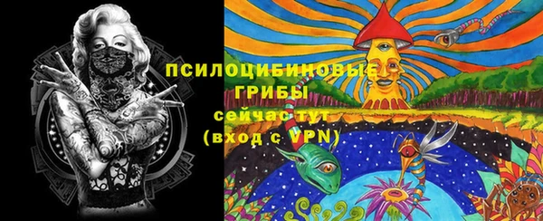 синтетический гашиш Медвежьегорск