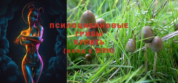 синтетический гашиш Медвежьегорск
