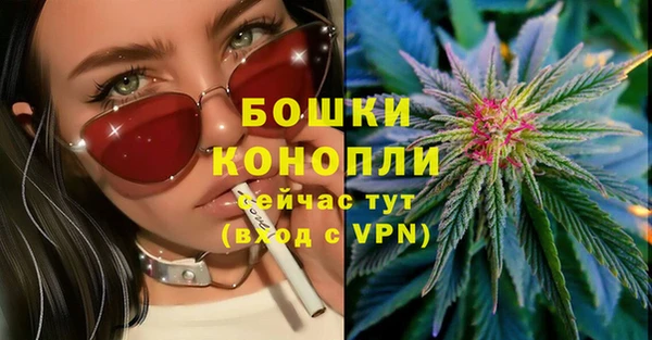 стаф Мегион
