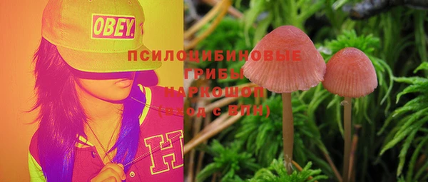 MESCALINE Вяземский