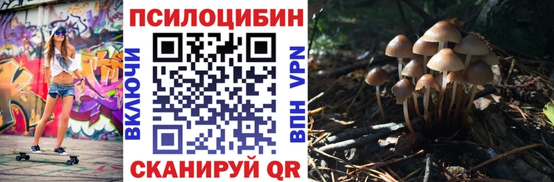 Псилоцибиновые грибы прущие грибы  Ершов 