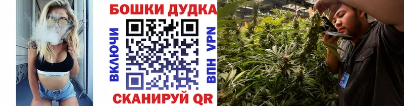 купить цена Ершов Канабис гибрид